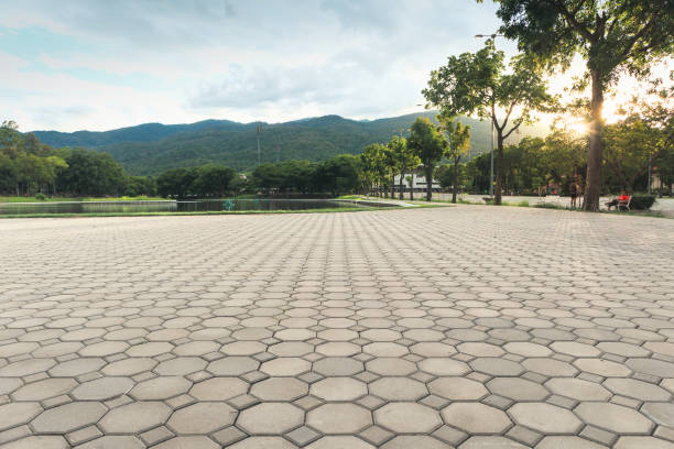 Best Affordable Driveway Pavers  in Fort Meade, FL